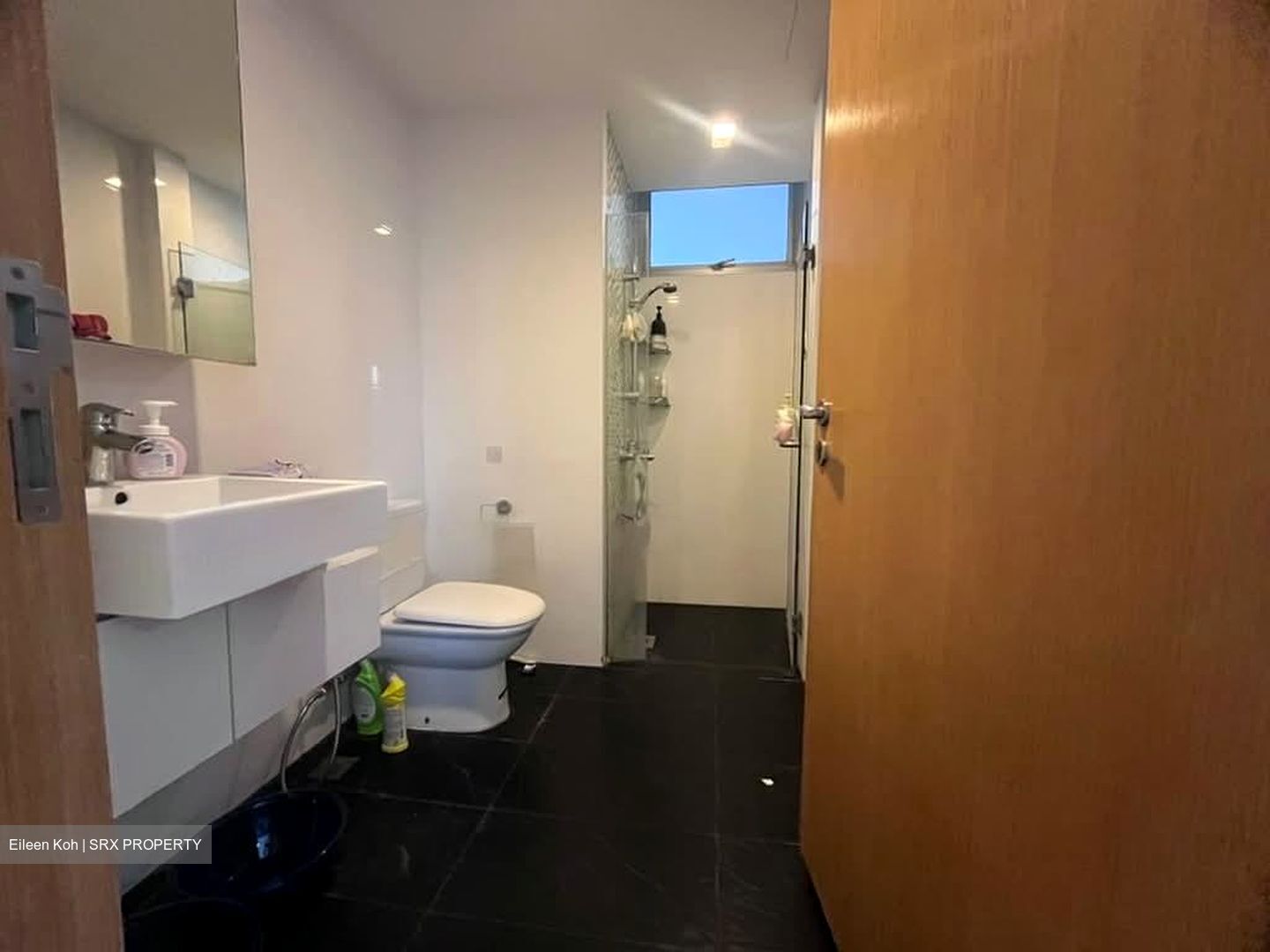 Oasis @ Elias (D18), Condominium #568659501